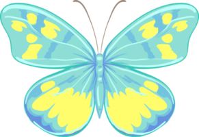 illustration belle peinture papillon png