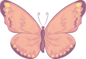 illustration belle peinture papillon png