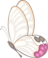 ilustración hermosa pintura de mariposa png