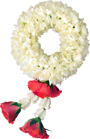 jasmine garland symbol of Mothers day in thailand on white background with clipping path png