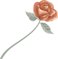 Rose Flower and botanical leaf digital painted png