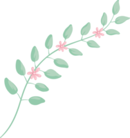 Rose Flower and botanical leaf digital painted png