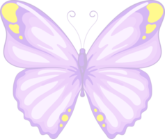 ilustración hermosa pintura de mariposa png