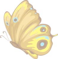 illustrazione bella pittura a farfalla png
