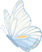 illustration belle peinture papillon png