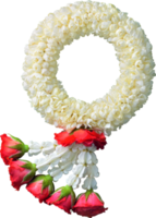 guirlande de jasmin symbole de la fête des mères en thaïlande sur fond blanc avec un tracé de détourage