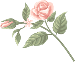 rosa blomma och botaniska blad digital målade png