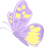 illustration Beautiful butterfly paint png