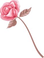 Rose Flower and botanical leaf digital painted png