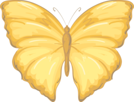 illustratie mooie vlinder verf png