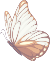 illustration Beautiful butterfly paint png