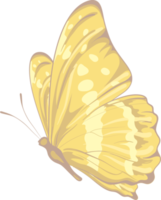 illustration Beautiful butterfly paint