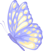 ilustración hermosa pintura de mariposa png