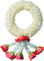 guirlande de jasmin symbole de la fête des mères en thaïlande sur fond blanc avec un tracé de détourage