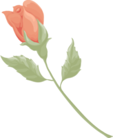flor rosa e folha botânica pintada digitalmente png