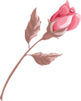 Rose Flower and botanical leaf digital painted png