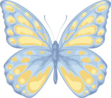 illustration belle peinture papillon png