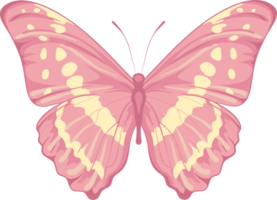 ilustración hermosa pintura de mariposa png