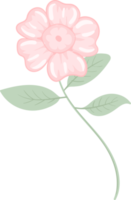 illustratie mooie bloem en botanisch bladpatroon voor liefde bruiloft valentijnsdag of arrangement uitnodiging ontwerp wenskaart png