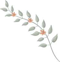 fiore di rosa e foglia botanica dipinta in digitale png