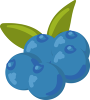 blueberry fruit illustration cartoon png