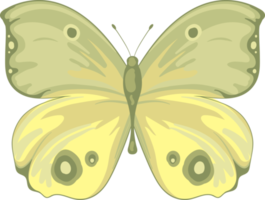 illustration belle peinture papillon png