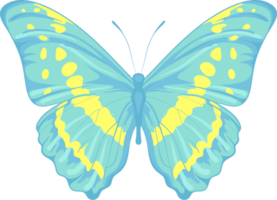 illustration Beautiful butterfly paint png