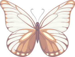 ilustración hermosa pintura de mariposa png