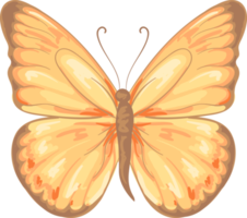 ilustración hermosa pintura de mariposa png