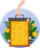 Hand holds a honeycomb on floral background. Bright honeycomb on blue background with flowers and bees vector