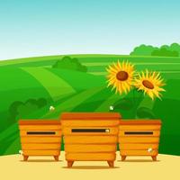 Apiary on the background of meadows with sunflowers. Cartoon beehives with bees on green background vector