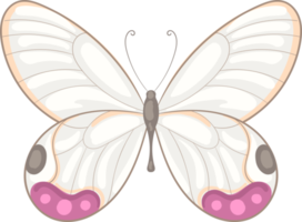 illustration belle peinture papillon png