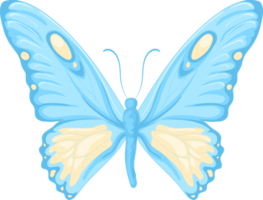 ilustración hermosa pintura de mariposa png