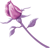 Rose Flower and botanical leaf digital painted png