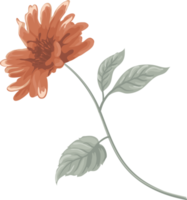 Rose Flower and botanical leaf digital painted png