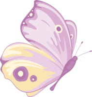 ilustración hermosa pintura de mariposa png