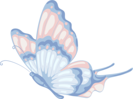 ilustración hermosa pintura de mariposa png