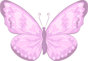 illustration belle peinture papillon png