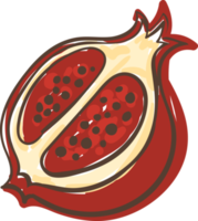 pomegranate fruit illustration cartoon png