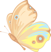 ilustración hermosa pintura de mariposa png