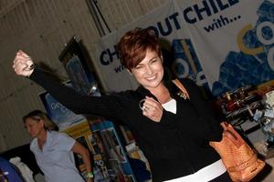 LOS ANGELES, NOV 20 -  Carolyn Hennesy at the Connected s Celebrity Gift Suite celebrating the 2010 American Music Awards at Ben Kitay Studios on November 20, 2010 in Los Angeles, CA photo