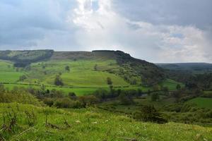 exuberantes campos verdes y pastos bajo un cielo gris foto