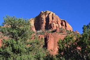 Evergreen Trees in Front of a Red Rock Formation photo