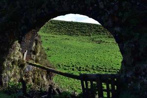 Scenic View of a Field Visible Through an Aqueduct Archway photo