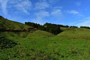 Stunning Scenic Fields with Lush Green Grass in the Azores photo