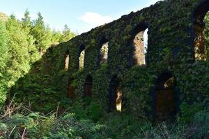 Grass and Moss Covered Watercourse Aqueduct in the Azores photo