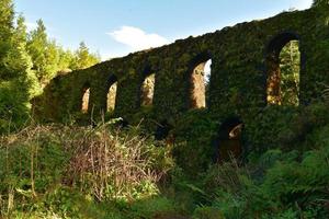 acueducto cubierto de musgo verde en sao miguel foto