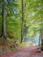 vista del paisaje en baviera, alemania foto