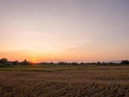 puesta de sol sobre el campo de arroz en Tailandia foto