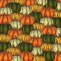 Pumpkin background, various pumpkins, on a dark background, vector illustration.